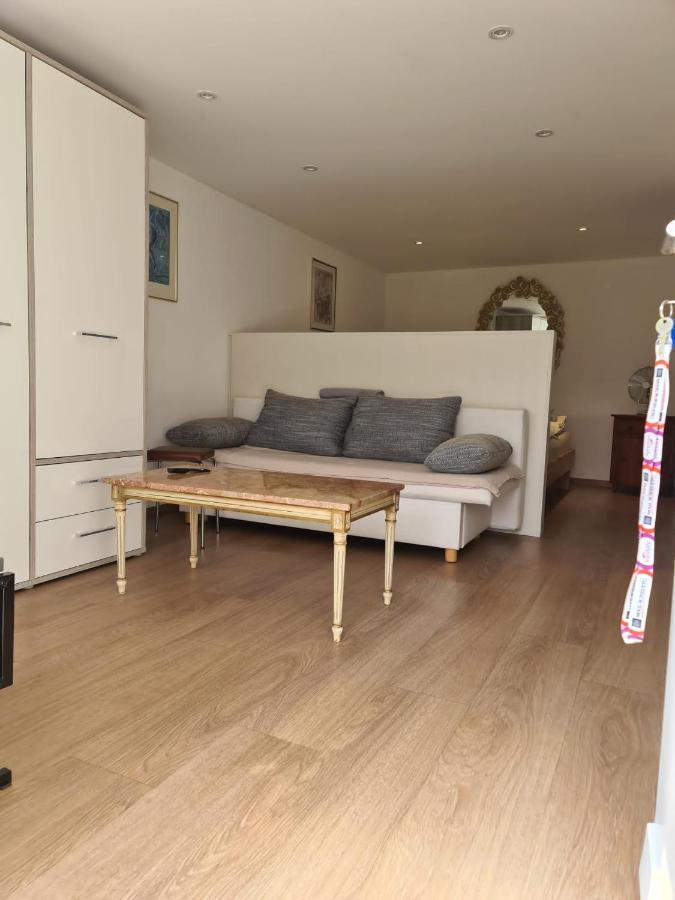 Minusio Casa Pergola Di Franz 빌라 외부 사진